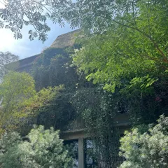 The building at Avasara is draped in a thick blanket of native creepers and flowering plants. My goal was to let nature reclaim the structure, turning the campus into a sanctuary.