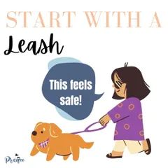 When you first start teaching recall, using a long leash is a great safety net. It allows you to gently guide your dog back to you, ensuring they succeed every time.