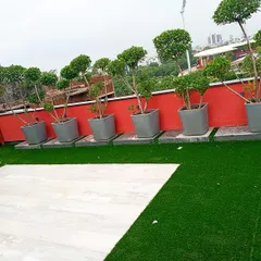 A clean and modern rooftop design combining artificial grass with a white tiled patio area. A row of topiary trees in grey fiber planters lines the red accent wall.
