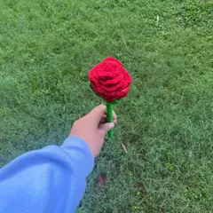 Holding my single crochet rose. It has a long green stem and makes a great piece of decor for a small vase.