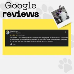 It makes me so happy to read reviews like this, where a customer was wowed by the service and found affordable nutrition options for her cat.