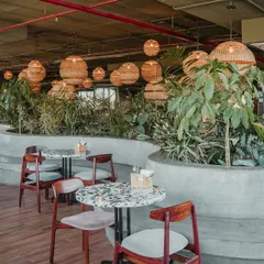 I used curved, built-in concrete planters to create organic, flowing pathways and separate seating areas. This element brings a significant amount of greenery indoors, softening the industrial feel of the space.