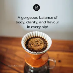 The result of a well-executed pour-over: a gorgeous coffee bed, indicating even extraction. This leads to a cup with a beautiful balance of body, clarity, and flavor.