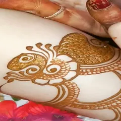 A macro shot of a peacock motif just after the henna paste has been applied. I love getting the details just right, from the feathers on the head to the texture on the body.
