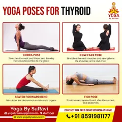 This infographic showcases four key yoga poses for thyroid health. Poses like Cobra and Fish Pose help stretch the neck and throat to stimulate the gland.