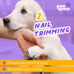 Proper nail trimming is essential to prevent discomfort and injury for your pet. I perform this service monthly for many of my clients, using professional clippers to ensure a safe and quick trim.