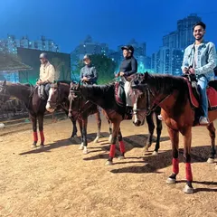 A group of friends lined up on horseback in our arena at night. This shot showcases the scale of our facility and its suitability for group photoshoots.