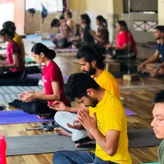 Students in Anjali Mudra, a gesture of reverence and union. This is a moment to honor the teacher, the practice, and the divine light within all of us.