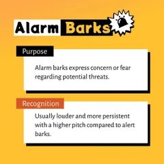 An alarm bark signals concern or fear about a potential threat. We explain that these barks are usually louder, higher-pitched, and more persistent than other types of barks.