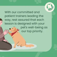 Your pet's well being is our number one priority, always. Our trainers are patient and committed to making sure every lesson is a positive and stress free experience for your furry friend.