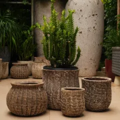 This collection of decorative rustic pots showcases a variety of textures and shapes. They are perfect for creating an earthy, grounded feel and work wonderfully with succulents, cacti, and other rugged plants.