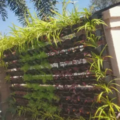My vertical garden designs can be adapted to fit any structure. This image shows how the living wall was constructed around a corner, creating a continuous flow of greenery that enhances the building's architecture.