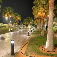 Our expertise extends to landscape lighting design, creating stunning and secure environments after dark. This beautifully lit palm-lined walkway highlights our ability to craft premium, 24-hour outdoor experiences.