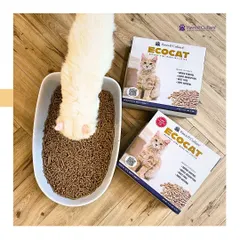 A cat curiously inspects its new EcoCat litter. Made from natural pine wood, these pellets are gentle on paws and provide excellent absorption, making them a comfortable and clean choice for your feline.