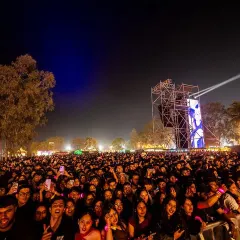 The view from the front row says it all. A massive, sold-out crowd stretching as far as the eye can see for AP Dhillon's tour. This is the scale of our events, bringing together thousands of fans for a collective, unforgettable experience.