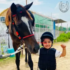 The smile says it all. We ensure our youngest riders, starting from age two, feel safe and confident as they meet our gentle horses for the first time. It's about building trust and having fun.