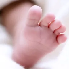 A macro photograph focusing on the delicate wrinkles and perfect shape of a newborn's foot. These are the little miracles that make up your big adventure.