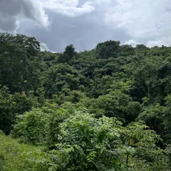The raw, untamed beauty of a new site in Maharashtra. Before we put pen to paper, we spend time walking the land, listening to its stories, and letting the topography and vegetation guide our architectural response.