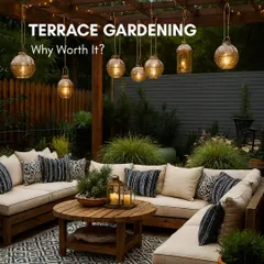 A terrace garden is more than just a pretty space. This image of a beautifully lit patio highlights how a green retreat can be a place for wellness, relaxation, and making memories.