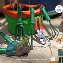 Having the right tools makes all the difference. Our collection of ergonomic and durable gardening tools, including trowels, cultivators, and pruners, makes tasks like planting and maintenance a breeze.