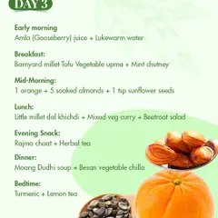 Day 3 of the diabetes plan begins with amla juice to boost immunity. Meals include barnyard millet upma and a light moong dudhi soup, focusing on low-glycemic foods that provide sustained energy.