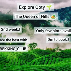 A promotional image for a trip to Ooty, the "Queen of Hills," set against a backdrop of lush tea plantations.