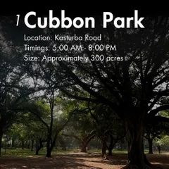 Cubbon Park is a 300-acre paradise for dogs in the heart of Bangalore, offering vast open spaces for them to run and play.