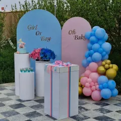 A modern and chic gender reveal setup for an outdoor party. The decoration uses two arched backdrops for "Girl or Boy" and "Oh Baby," with balloon clusters and pedestals for the cake and reveal elements.