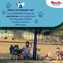 On World Veterinary Day, I want to thank all the vets who help me care for these precious lives. This is me with some of the pack, a group of huskies, a beagle, and more, all happy and healthy.