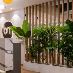 Natural elements soften the modern aesthetic at the Brandman reception. We used lush planters as a natural divider, creating a welcoming transition from the entrance to the main workspace.