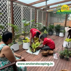 Our team at work, carefully arranging plants inside the completed sunroom. We work closely with clients to select the right plants and decor to bring their vision to life.