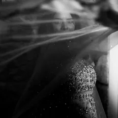 An artistic black and white shot of the bride through her veil. The motion blur and sparkling details on her dress create a dreamy and mysterious bridal portrait.