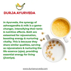 The combination of Ashwagandha and milk is a powerful rejuvenating tonic in Ayurveda. This blend helps build Ojas (life essence), boost energy, and nurture your vitality from within.