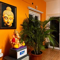 The warm and welcoming entrance to our studio, featuring vibrant orange walls and beautiful artwork.