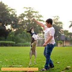 A young boy shares a treat with his dog, who jumps up in excitement, capturing a moment of pure, playful interaction in a park.