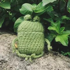 My little frog AirPods case enjoying some time in nature. This quirky case is made with fuzzy yarn and is designed to fit your AirPods perfectly.