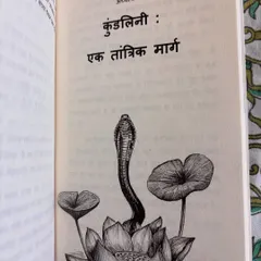 This image from one of our texts illustrates "Kundalini: A Tantric Path." Understanding Kundalini energy is a vital part of the spiritual journey, and I guide my students on how to walk this path of truth safely.