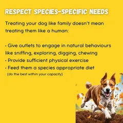 Respecting your dog's species-specific needs is key. This means giving them outlets for natural behaviors like sniffing, digging, and chewing, along with proper exercise and diet.