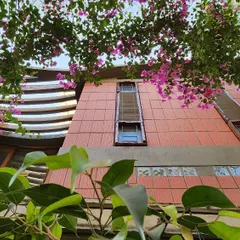 A view looking up at our studio in spring, with bougainvillea blooms framing the clay block facade. This is how we envision our buildings: living structures that change with the seasons and are adorned by nature.