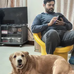 My typical Sunday. While I'm on my phone, Jessica is always by my side, keeping me company.
