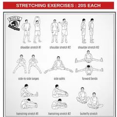 Flexibility is a key component of a complete fighter. This guide illustrates essential stretching exercises, including shoulder stretches, side splits, and hamstring stretches, to improve mobility and reduce injury risk.