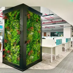 A key element of biophilic design, this framed vertical garden acts as a natural art piece within the Global India office in Hyderabad. It improves air quality and brings a sense of calm to the open-plan workspace, breaking the monotony of the workstations.