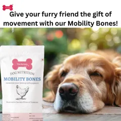 Give your furry friend the gift of movement. My Mobility Bones, made with chicken wings and turmeric, are designed to boost mobility and flexibility, keeping your dog active and happy.