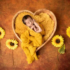 A heart full of sunshine. This newborn is nestled safely in a heart shaped wooden bowl, surrounded by sunflowers, creating a warm and loving image.