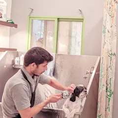 Bath time in our professional-grade stainless steel tub. We use handheld sprayers to gently rinse your pet, ensuring they feel secure and comfortable throughout the wash.