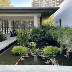 I designed this tranquil koi pond for a luxury property, focusing on creating a serene escape. The design incorporates aquatic plants like water lilies and marginal grasses to build a natural ecosystem, while the clear water and carefully selected koi fish provide a calming focal point for residents and visitors.
