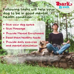 Your dog's mental health is just as important as their physical health. Providing mental enrichment, exercise, and a sense of security are key components of our holistic approach to dog care and training.
