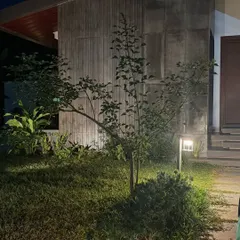 The architectural lines of this modern home and the delicate branches of a young tree are highlighted by carefully placed outdoor lights. This shows how lighting can connect the house and garden at night.