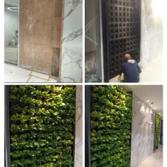 This before-and-after sequence is the best summary of our process. It shows the wall in its initial state, the installation of the grid system, the placement of plants, and the final, fully greened wall.