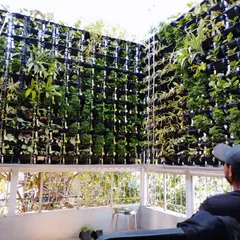 A large vertical garden installed on a covered balcony or patio. This setup creates a stunning feature wall and significantly improves the ambiance of the space.